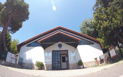 Avvisi della settimana dal 06 Aprile Parrocchie Colonnella – Mater Misericordiae Rimini