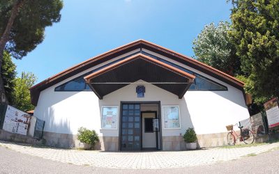Avvisi della settimana dal 25 Maggio Parrocchie Colonnella – Mater Misericordiae Rimini