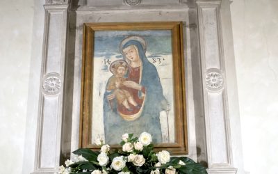 Avvisi della settimana dal 14 Maggio Parrocchie Colonnella – Mater Misericordiae Rimini