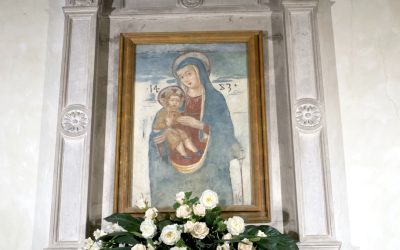 Avvisi della settimana dal 27 Aprile Parrocchie Colonnella – Mater Misericordiae Rimini