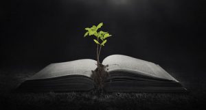 bibbia vita